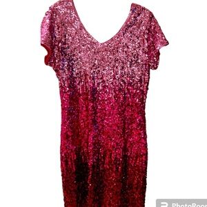 NWT Maner Ombré sequin dress
